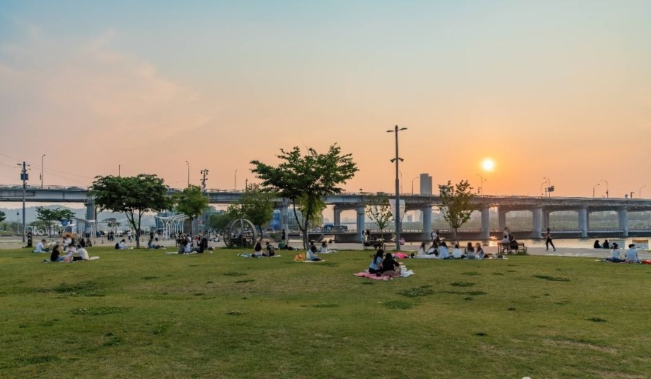 한강 다리와 잔디마당을 배경으로 사람들이 쉬고 있는 반포한강공원