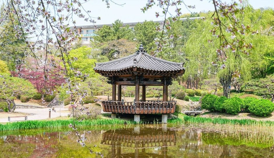 연못과 나무 사이에 자리한 보문정 팔각 정자