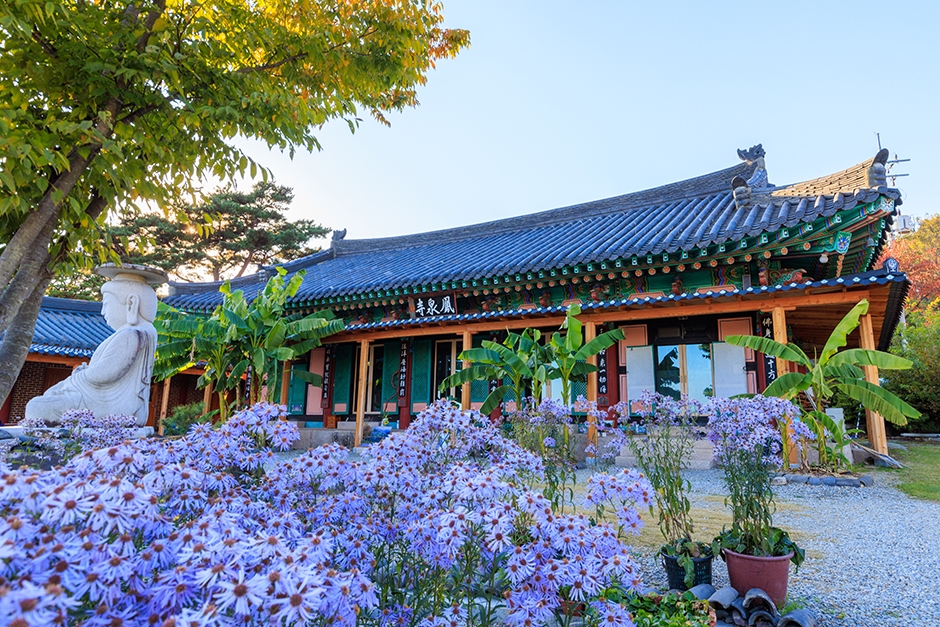 연보랏빛 개미취 꽃밭 너머로 전통 사찰 법당과 흰 불상이 보이는 봉천사 경내 풍경