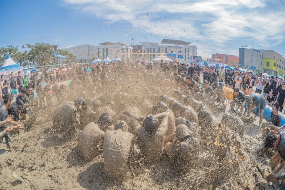수십 명이 한데 모여 진흙을 뒤집어쓰고 노는 보령머드축제 체험존 장면