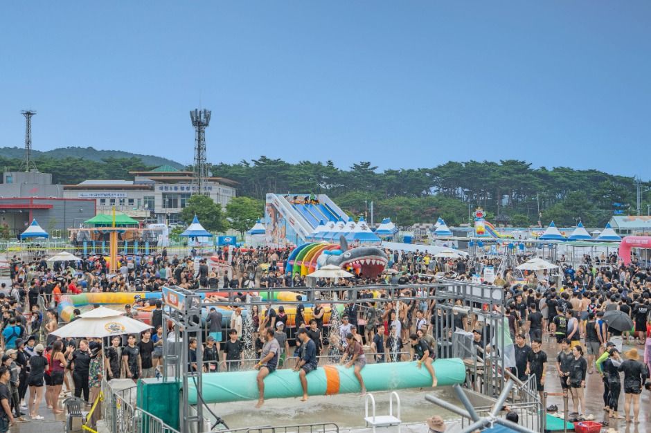 보령머드축제 공식 홈페이지 안내