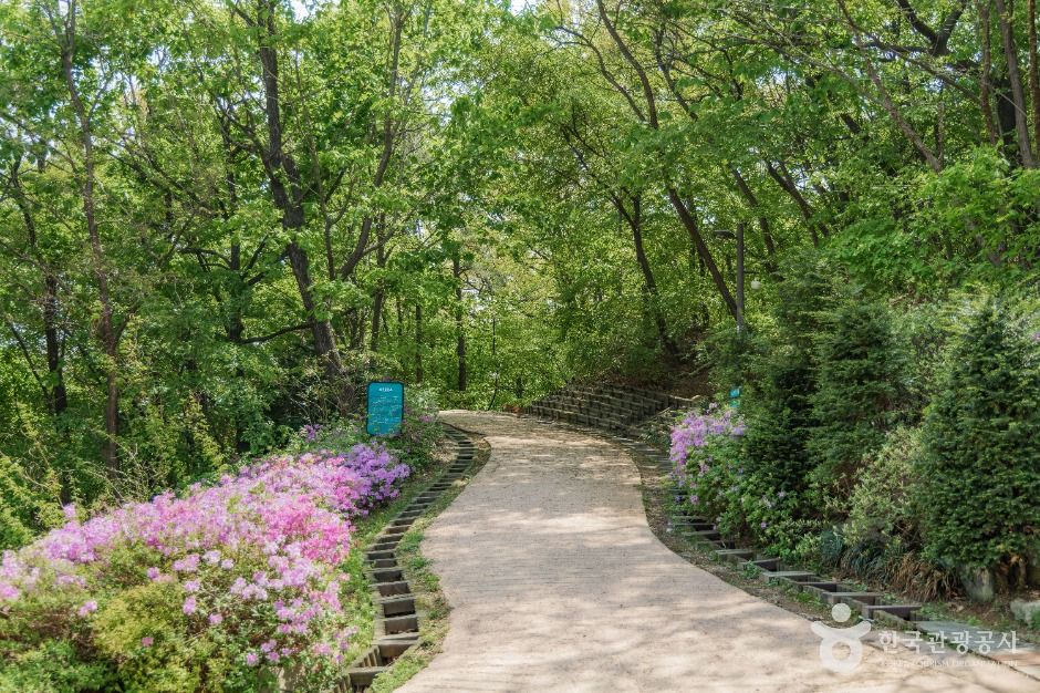 북서울꿈의숲 전망대 2층 자유열람실 내부