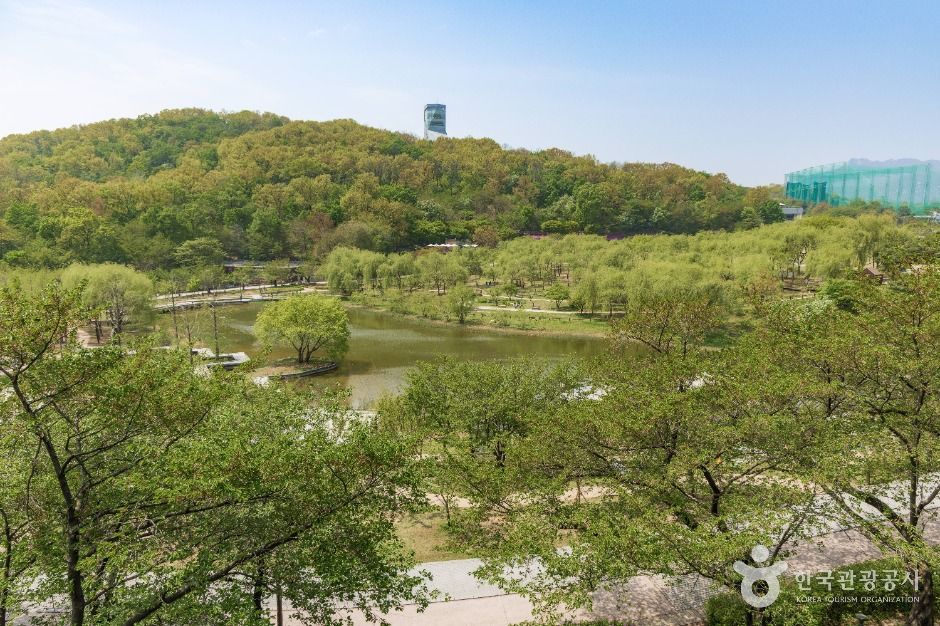 북서울꿈의숲 동문 입구에서 바라본 숲과 잔디광장