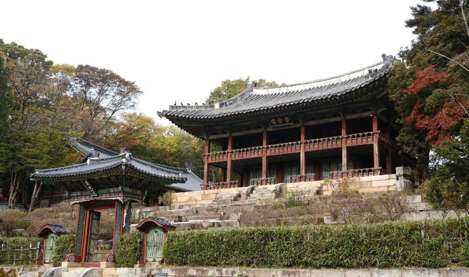 창덕궁 전각과 누각이 나무 사이에 이어지는 모습