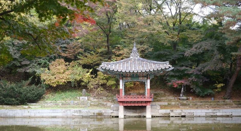 창덕궁 후원 숲 사이로 보이는 연못과 정자
