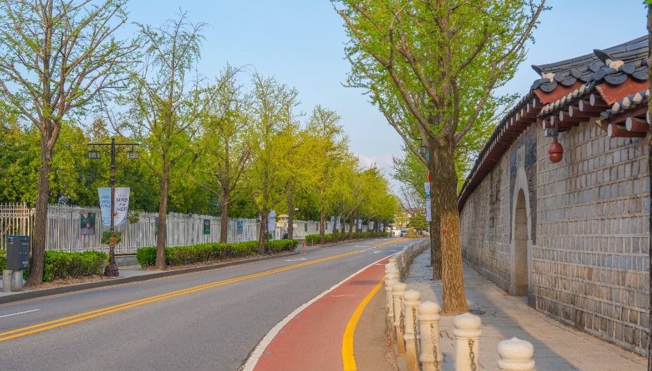 청와대 돌담 사이로 가로수와 차도가 길게 이어지는 앞길