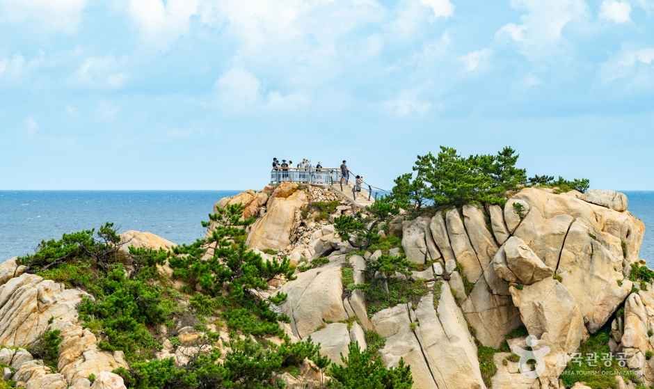 대왕암과 해안을 잇는 출렁다리와 바다 풍경