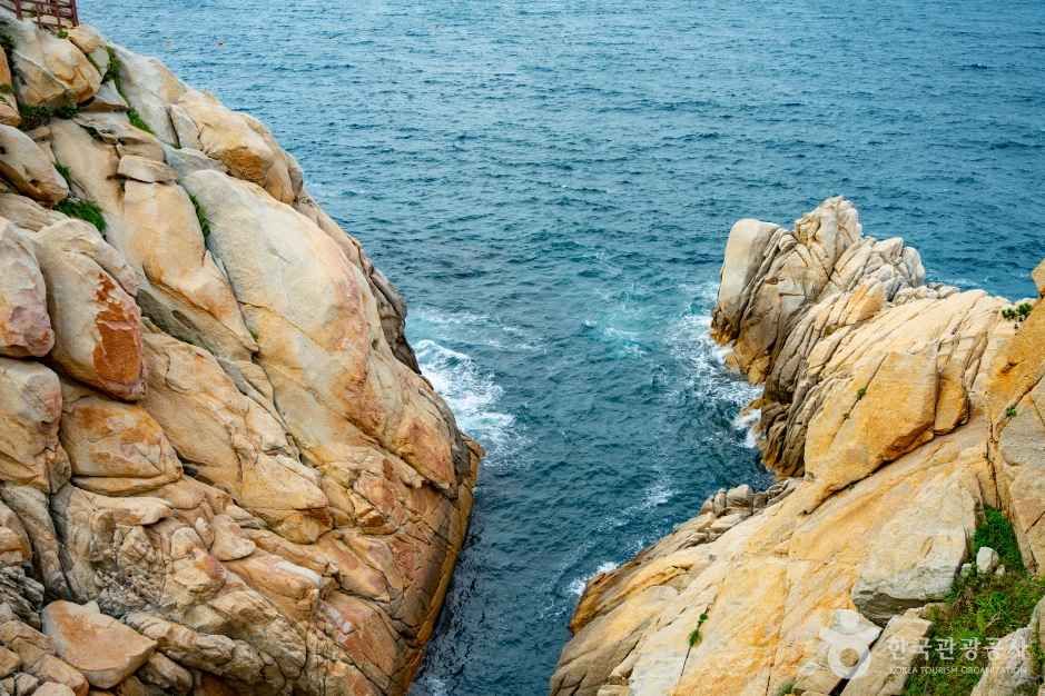 바다와 맞닿은 대왕암공원 해안 바위
