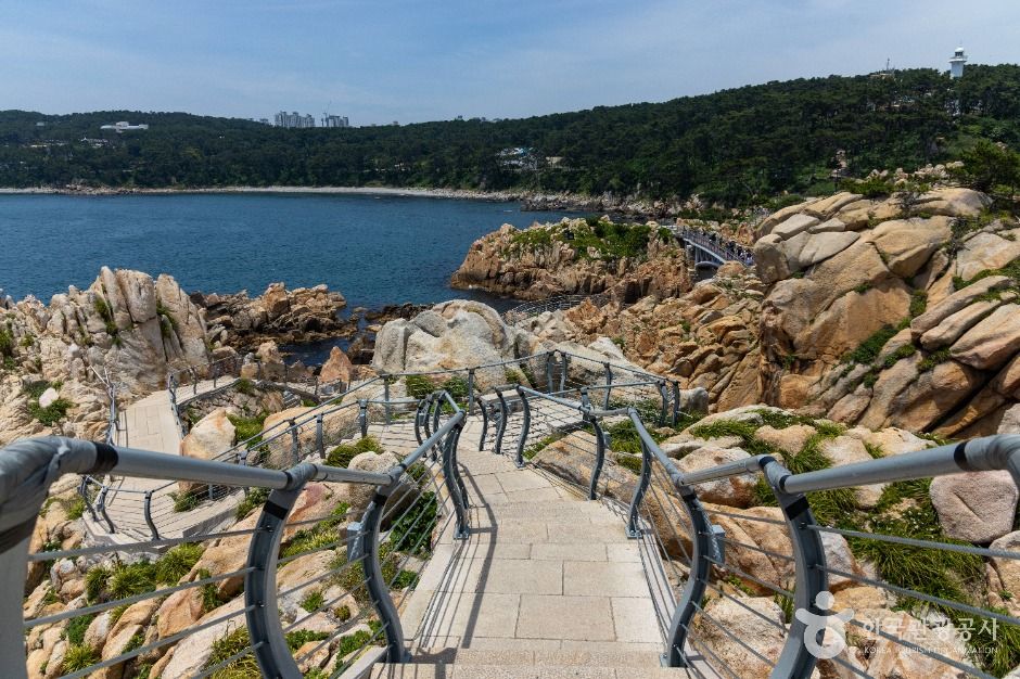 대왕암공원 해안 바위와 푸른 바다