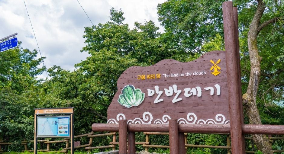 나무 안내판과 지도가 놓인 강릉 안반데기 마을 입구