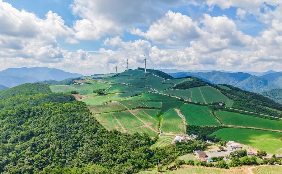 강릉 안반데기 전망 지점에서 내려다본 넓은 밭과 마을
