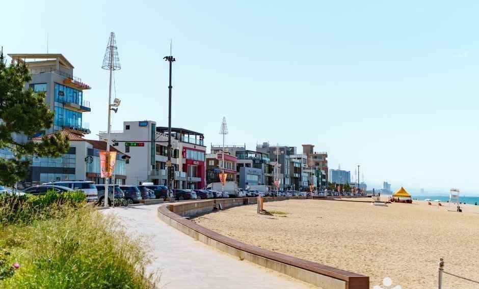 강릉 안목해변 해안도로와 카페거리가 이어지는 풍경