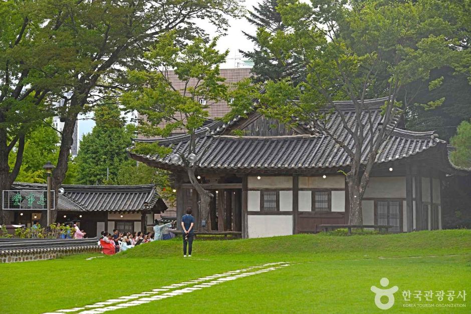 강릉 대도호부 관아의 잔디 마당과 나무 아래 전통 건물 풍경