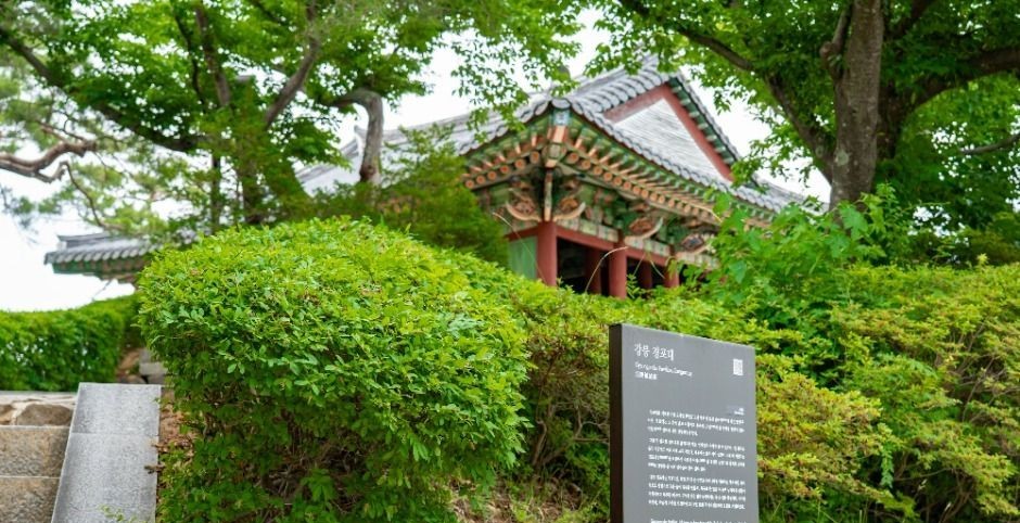 강릉 경포대 주변 도로와 방문객 이동에 참고할 수 있는 풍경