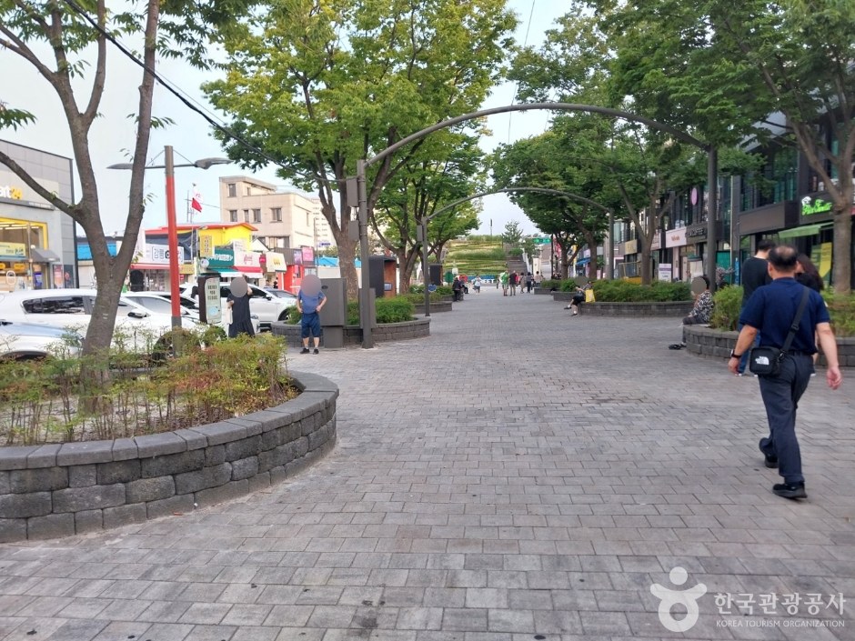 나무 데크와 보도로 이어진 월화거리 산책로와 양옆의 가로수