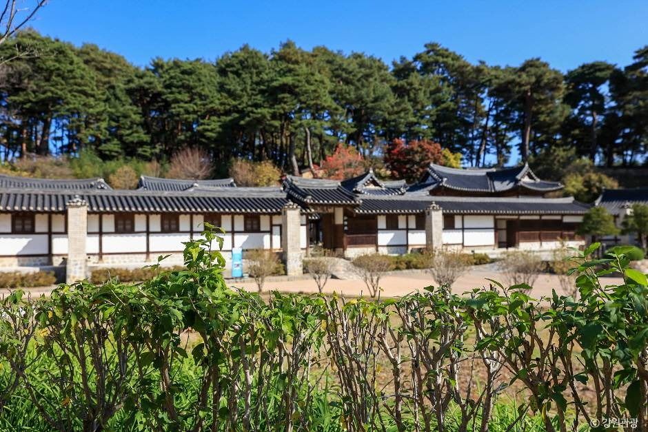 강릉 선교장의 전통 한옥과 소나무가 어우러진 전경
