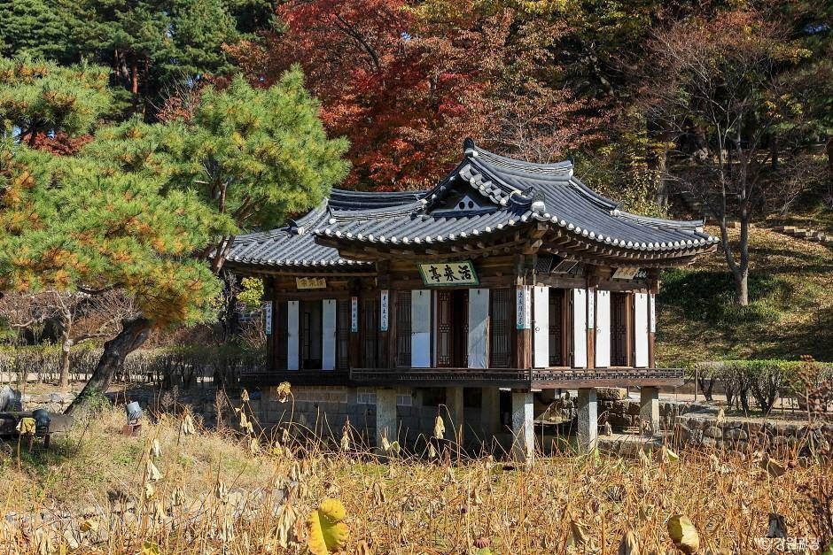 강릉 선교장 주변의 전통 한옥과 가을 숲