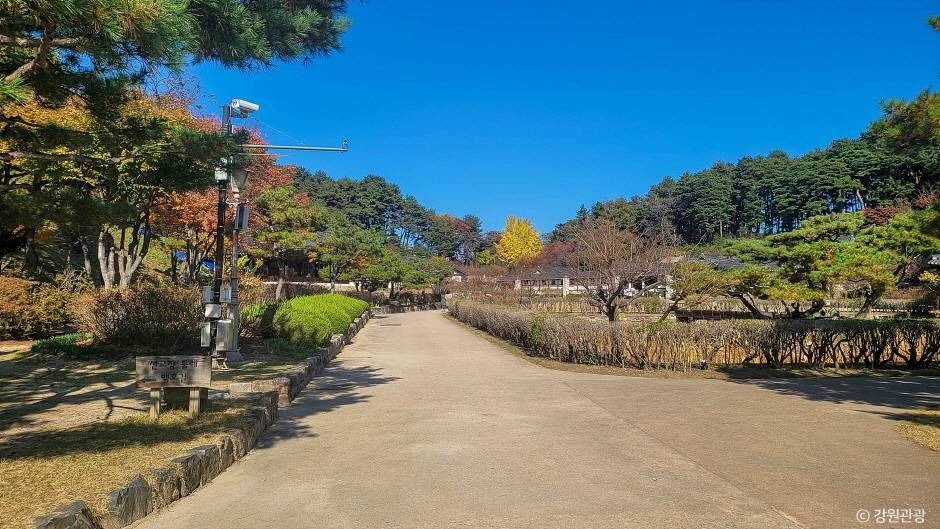 강릉 선교장 안쪽의 넓은 정원 산책로와 나무