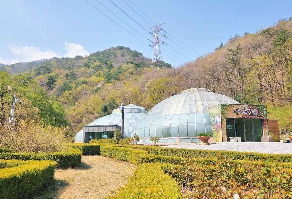 강릉 솔향수목원 산자락의 온실과 나무가 이어진 야외 공간