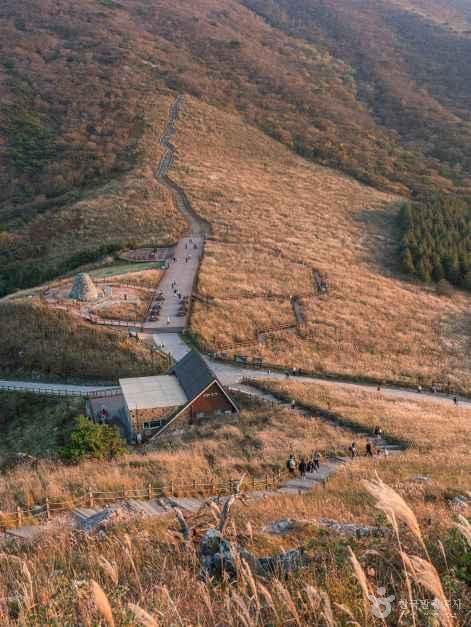 억새로 뒤덮인 산 능선 사이로 나무 데크길이 이어지고 산장 건물이 자리한 간월재를 위에서 내려다본 모습