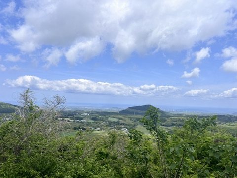 거문오름 전망 지점에서 바라본 제주 중산간과 주변 오름 풍경
