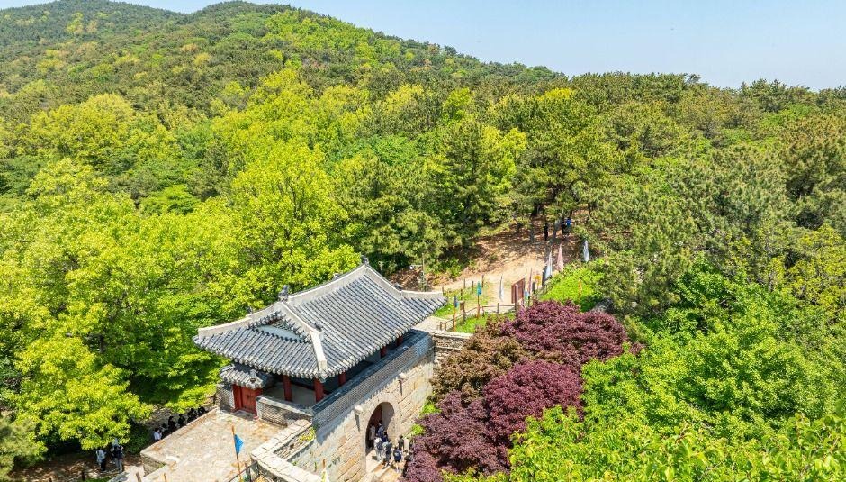 금정산 숲 사이로 이어지는 산성과 능선 풍경
