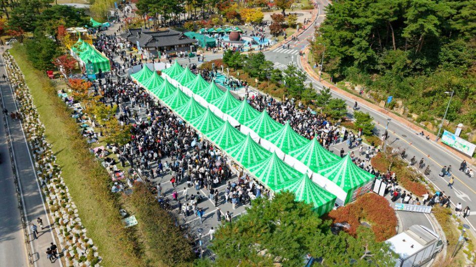 초록 천막이 줄지어 선 공원을 위에서 내려다본 김천김밥축제 전경