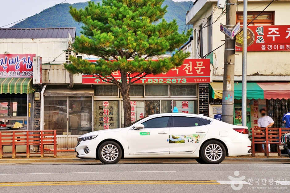 괴산읍내 상점가와 뒤편 산이 보이는 거리 풍경
