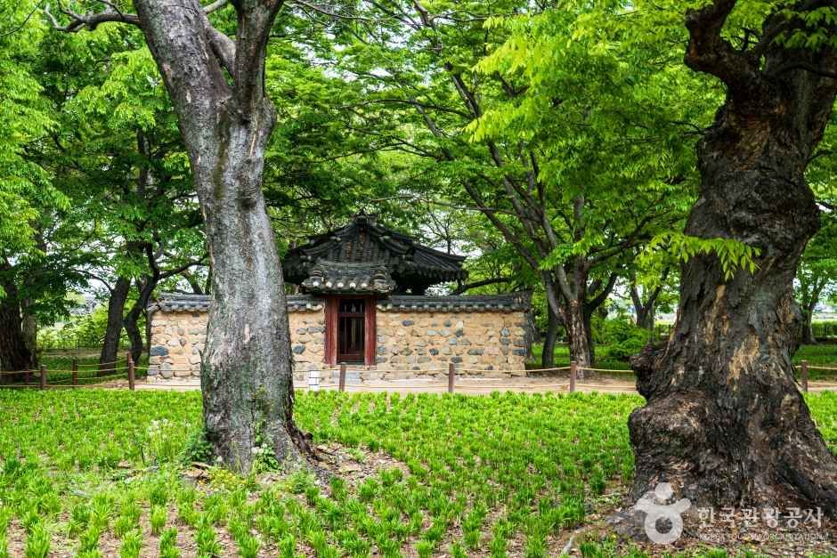 수백 년 된 왕버들과 느티나무 사이에 자리한 계림 비각