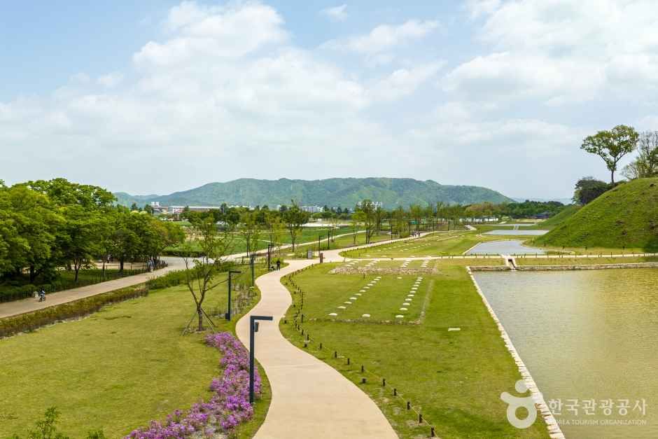 철쭉이 핀 화단을 따라 곡선으로 이어지는 월성 산책로