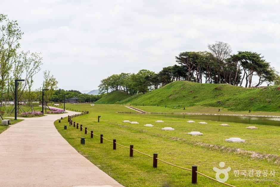 월성 성벽을 따라 이어지는 산책로와 그 옆으로 보이는 연못