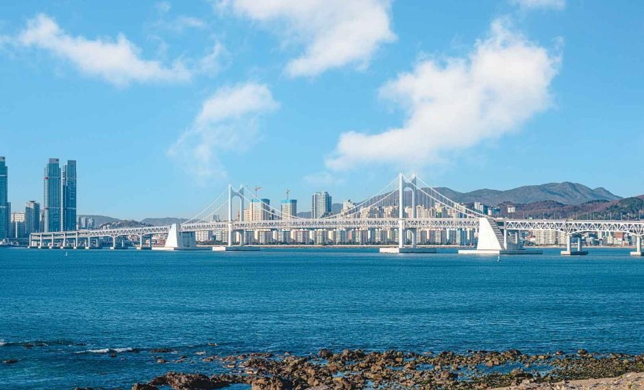 동백섬 해안 산책 중 바라보기 좋은 광안대교와 부산 바다 전망