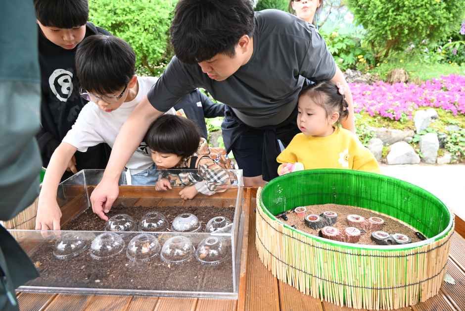 아이들이 어른과 함께 흙이 담긴 화분에 씨앗을 심어보는 생태 체험 부스
