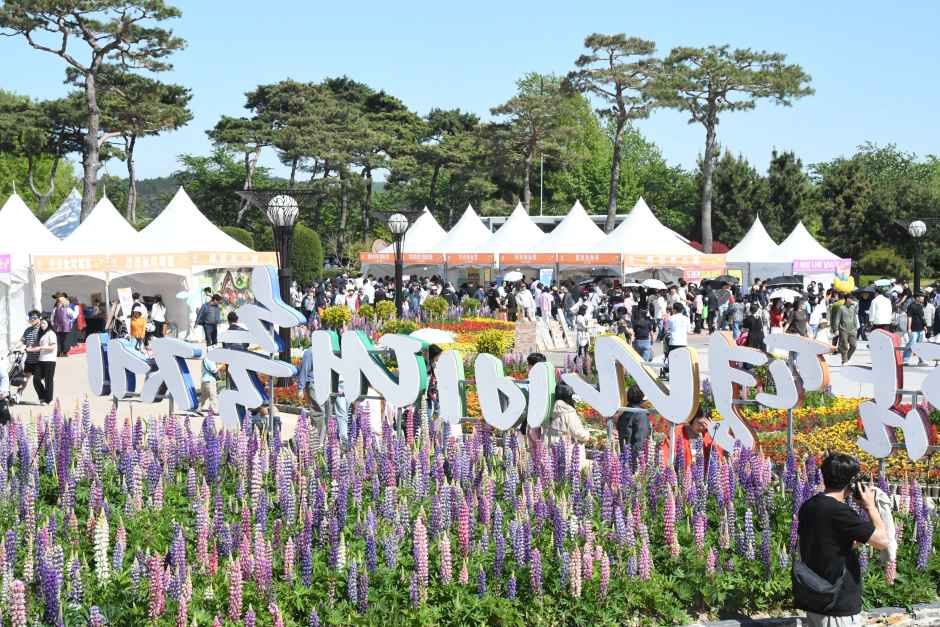 루핀 등 봄꽃이 가득 핀 화단과 축제 이름을 새긴 대형 글자 조형물, 그 뒤로 천막 부스가 늘어선 함평엑스포공원 광장