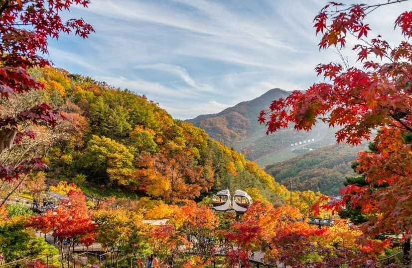 붉은 단풍과 산 능선이 어우러진 화담숲 전경