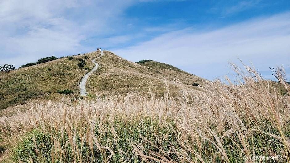 억새가 양옆으로 늘어선 흙길이 능선으로 이어지는 황매산 탐방로