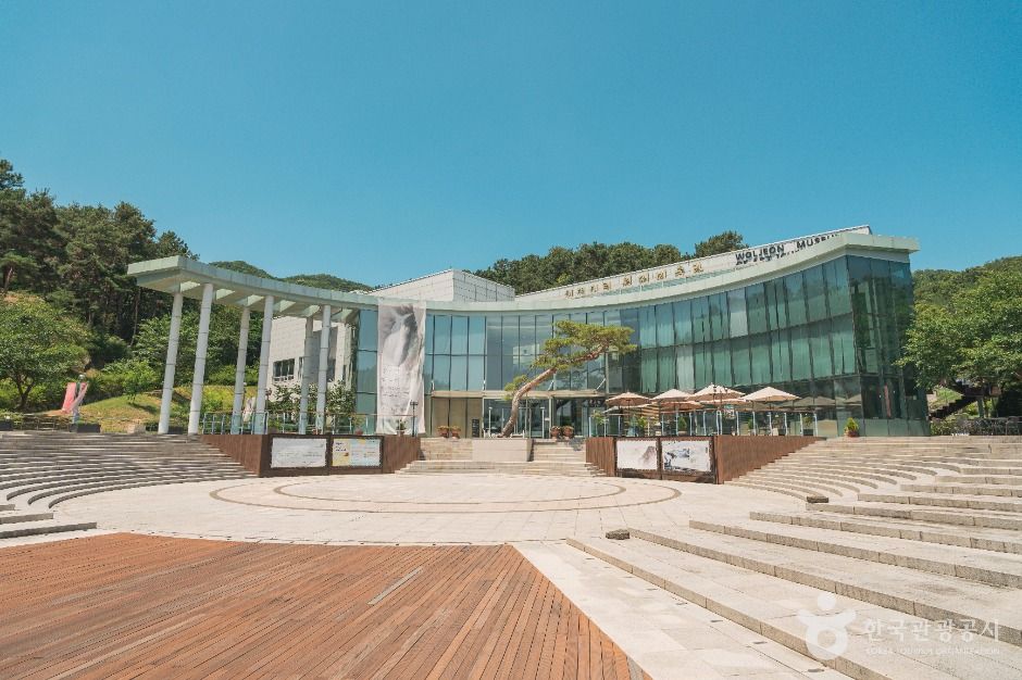 넓은 광장과 계단식 좌석 뒤로 보이는 유리 외벽의 월전미술관 건물