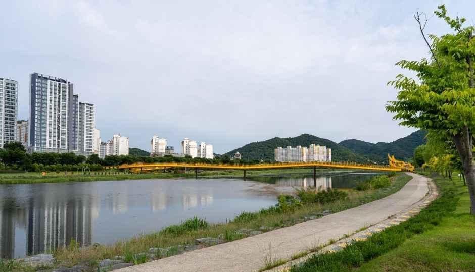 황룡강 둑 옆으로 아스팔트 산책길이 이어지고 멀리 아파트와 산이 보이는 풍경