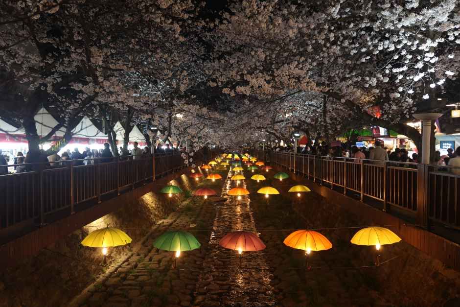 벚꽃이 만개한 여좌천 야경, 물길 위로 알록달록한 우산 조형물과 가로등 불빛이 늘어선 산책로
