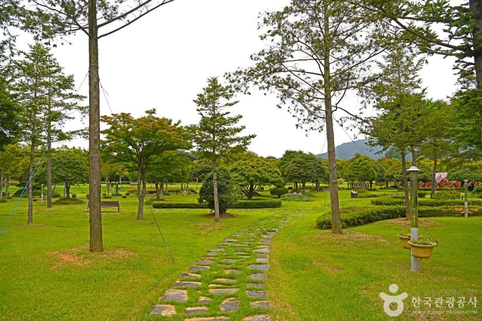 소나무와 잔디밭, 돌길이 이어진 내장산 단풍생태공원 산책로