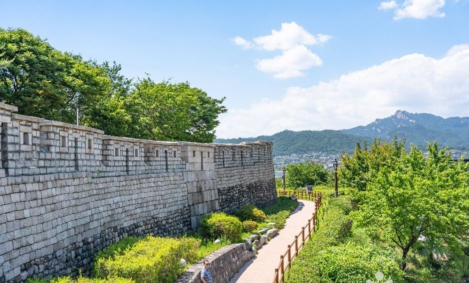 푸른 나무와 북한산을 배경으로 길게 이어지는 낙산공원 한양도성 성벽