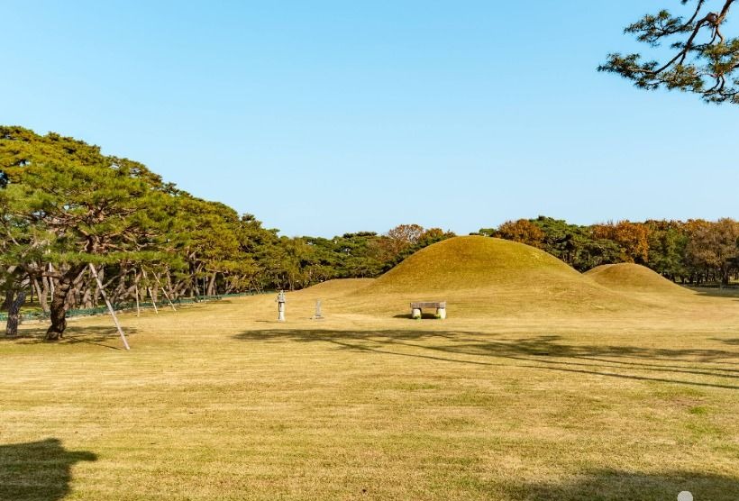 소나무와 잔디 너머로 이어지는 경주 오릉 봉분