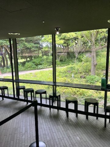 정원을 바라보는 오설록 실내 창가 좌석