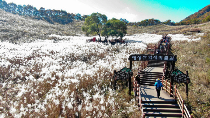 명성산 억새바람길 표지판과 억새 군락, 데크길을 걷는 관람객