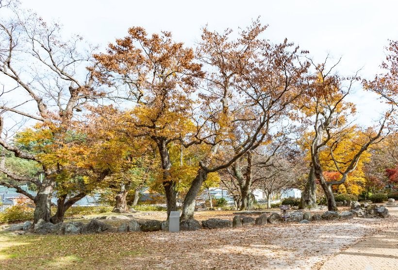 가을 나무와 돌담이 이어지는 포석정지 주변 산책 공간
