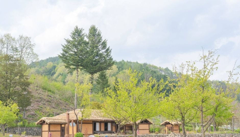 산과 나무가 보이는 효석문화마을 풍경