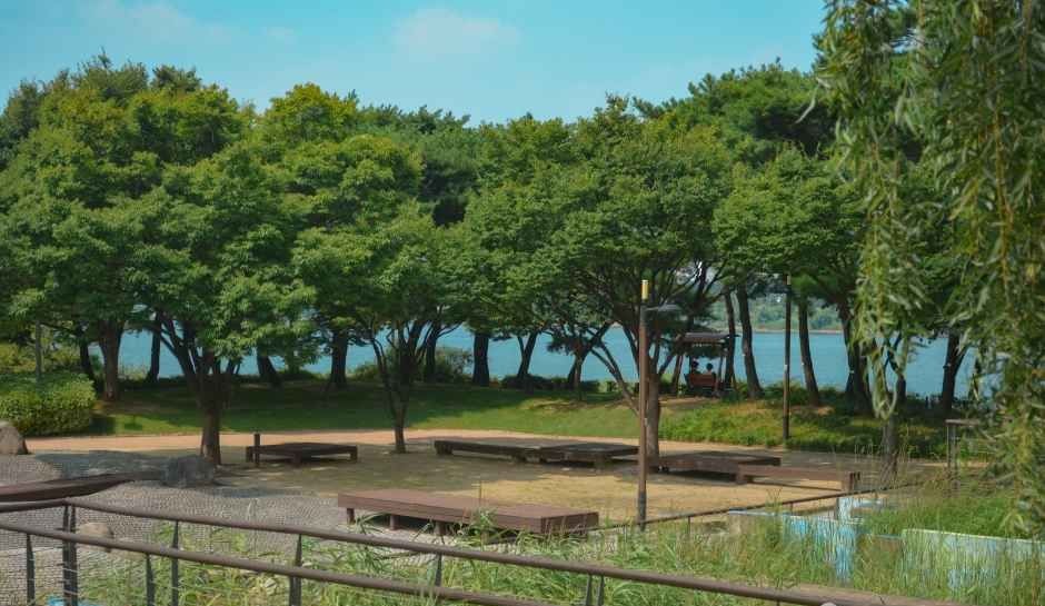 선유도공원 나무 사이로 이어지는 다리와 정원 공간
