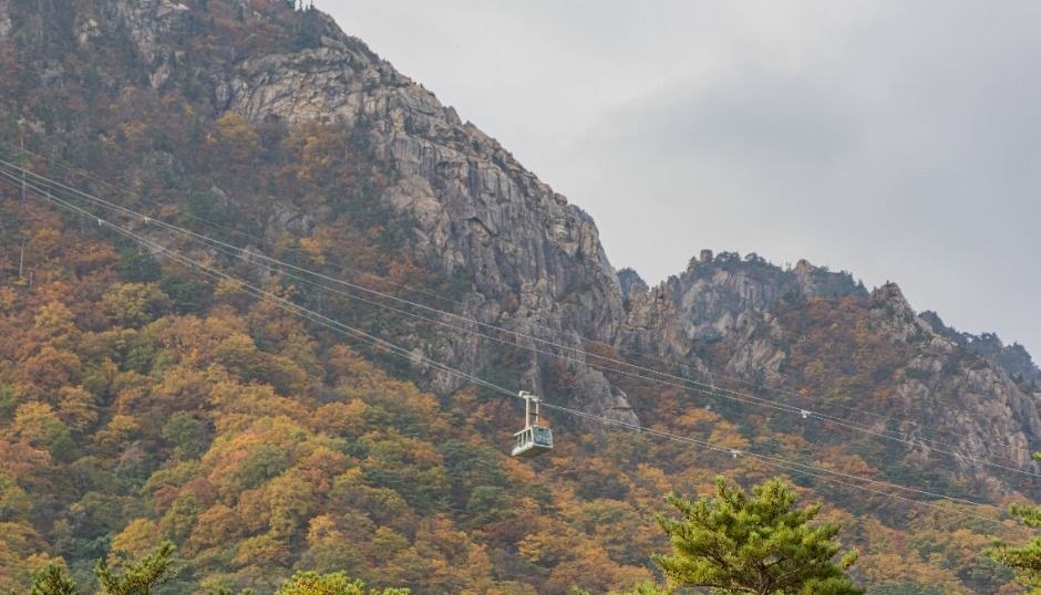 가을 단풍이 물든 설악산 바위 봉우리 사이로 케이블카가 오르는 모습