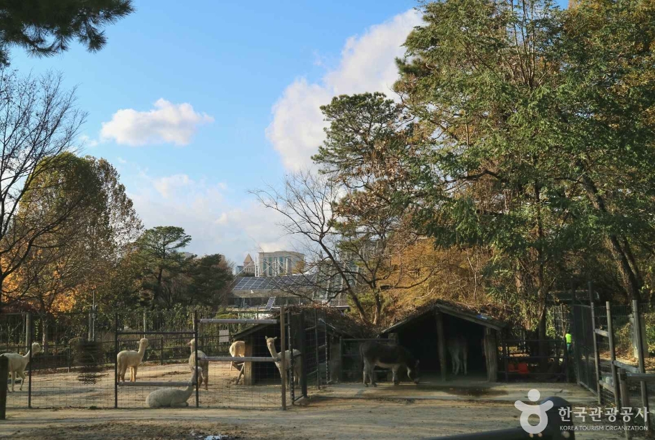 서울어린이대공원 동물원 주변의 나무와 산책 공간