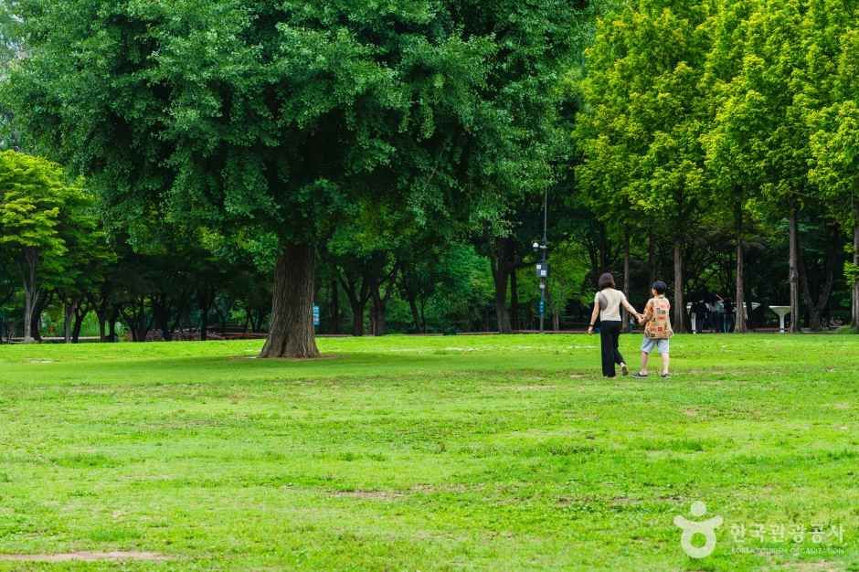 서울숲 잔디 공간을 걷는 가족
